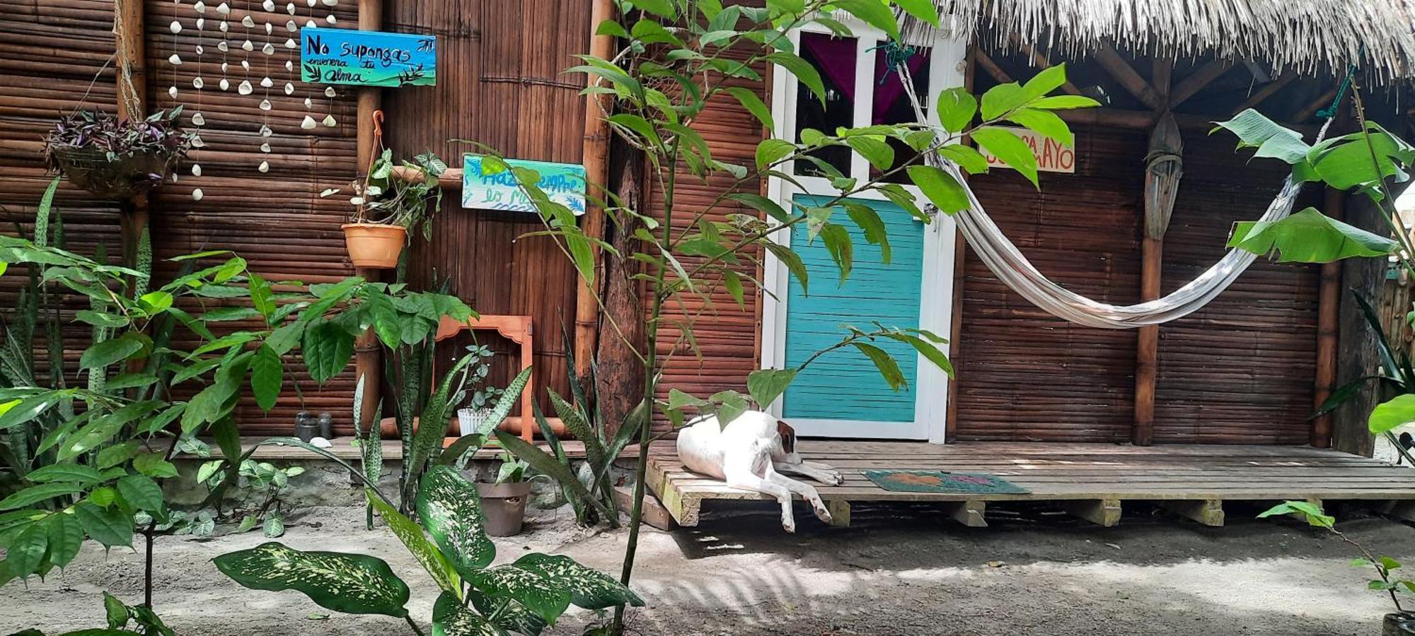 Hotel Raices Mompiche Zimmer foto